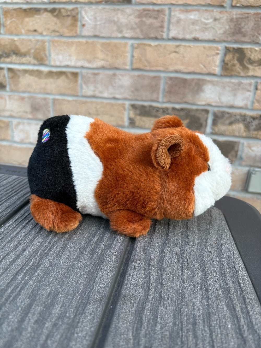 Webkinz Ganz Retired Guinea Pig Plush - GUC | (Missing tush tag)